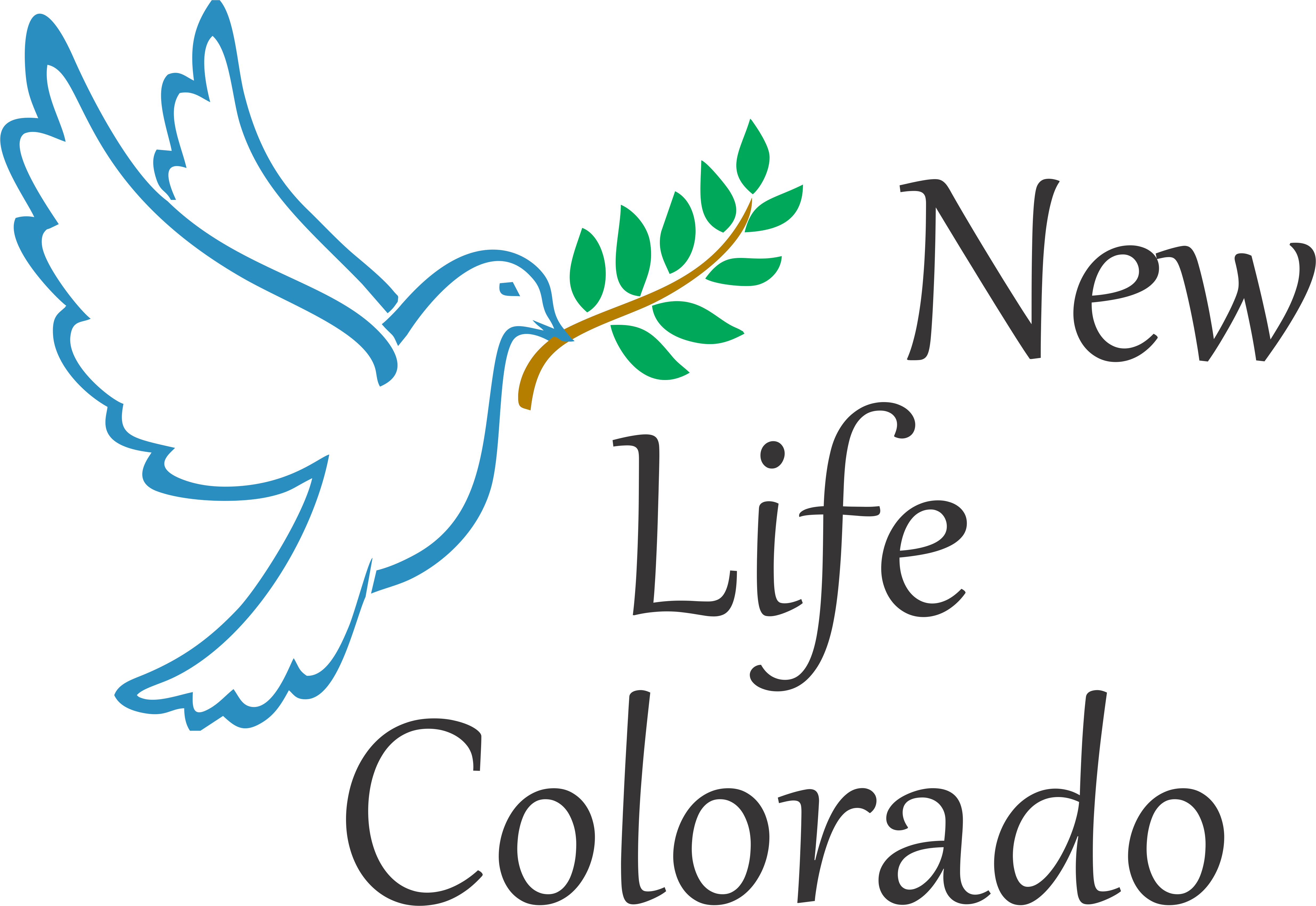 New Life Colorado